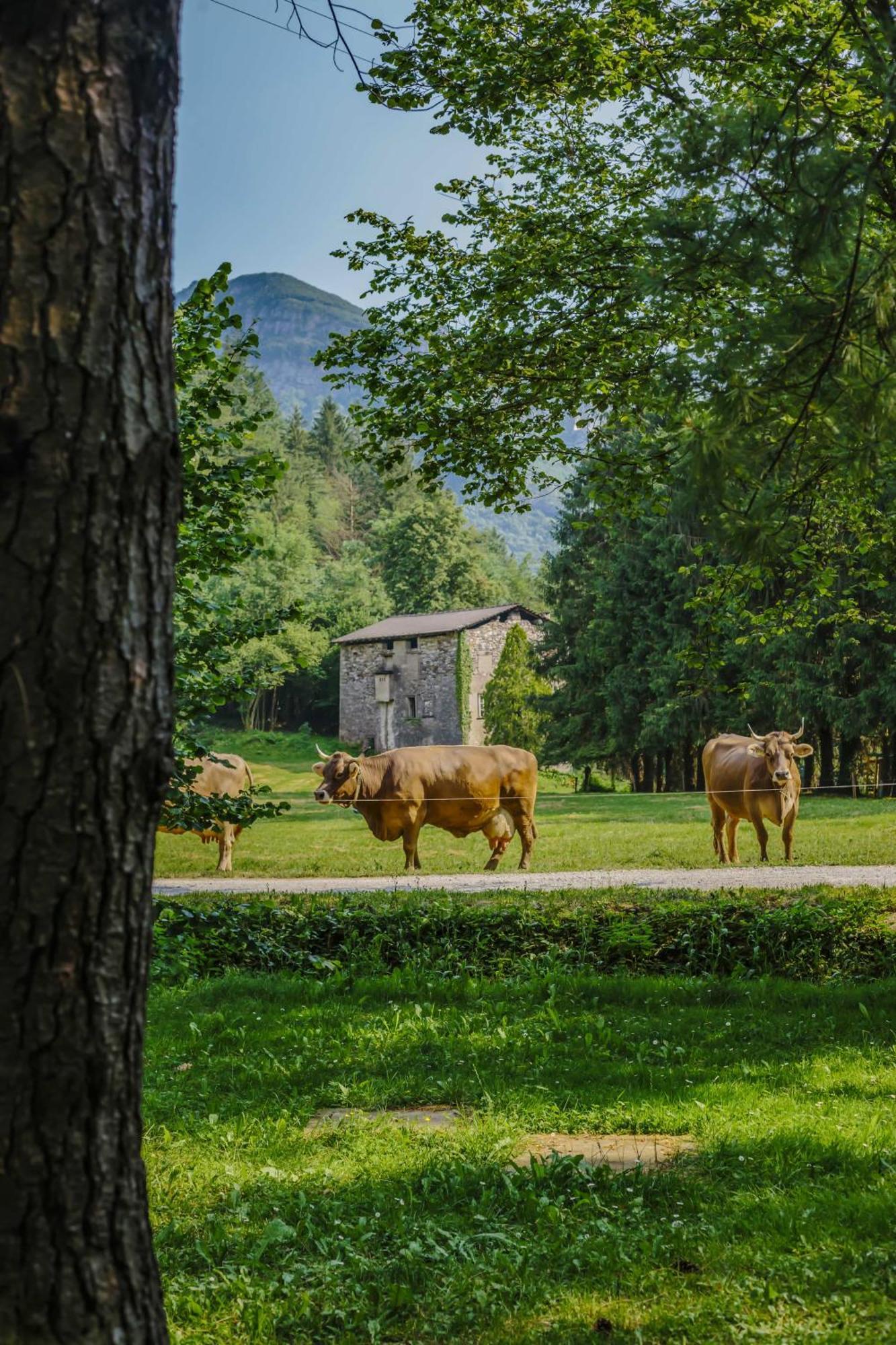 Agriturismo Ferdy Villa Lenna Eksteriør billede